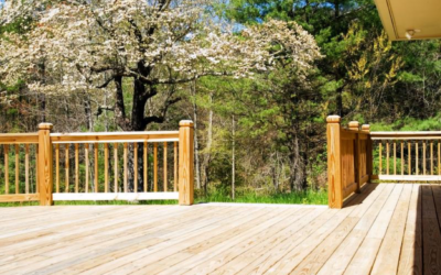 3 Tips for Protecting Your New Wood Deck from Pests