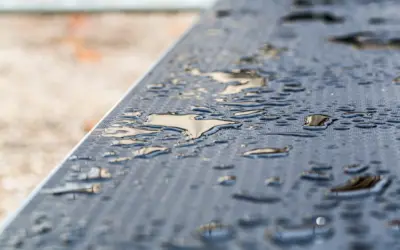What You Can Do to Prevent Water Damage to Your Backyard Area